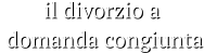 il divorzio a   domanda congiunta il divorzio a   domanda congiunta