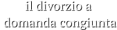 il divorzio a   domanda congiunta il divorzio a   domanda congiunta