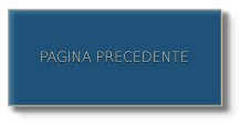 PAGINA PRECEDENTE